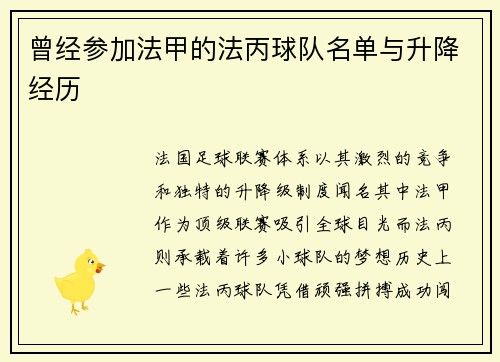 曾经参加法甲的法丙球队名单与升降经历