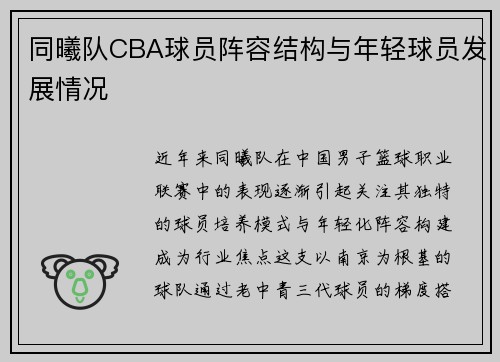 同曦队CBA球员阵容结构与年轻球员发展情况